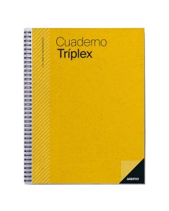 CUADERNO ADDITIO TRIPLEX EVALUAC+AGEND+TUTORIA 31X22,5