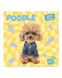 CALENDARIO PARED ERIK 16 MESES STUDIO PETS POODLE 30X30CM MES VISTA