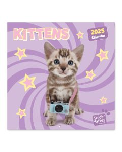 CALENDARIO PARED ERIK STUDIO PETS KITTENS 30X30CM MES VISTA