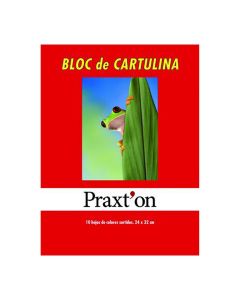 BLOC CARTULINA PRAXTON COLORES 24X32 180G 10H PAQUETE 25UD