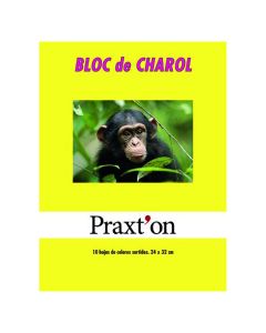 BLOC CHAROL PRAXTON COLORES 24X32 80G 10H 25UD