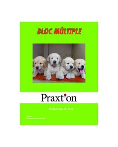 BLOC MANUALIDADES PRAXTON MULTIPLE 24X32 43H PAQUETE 10UD